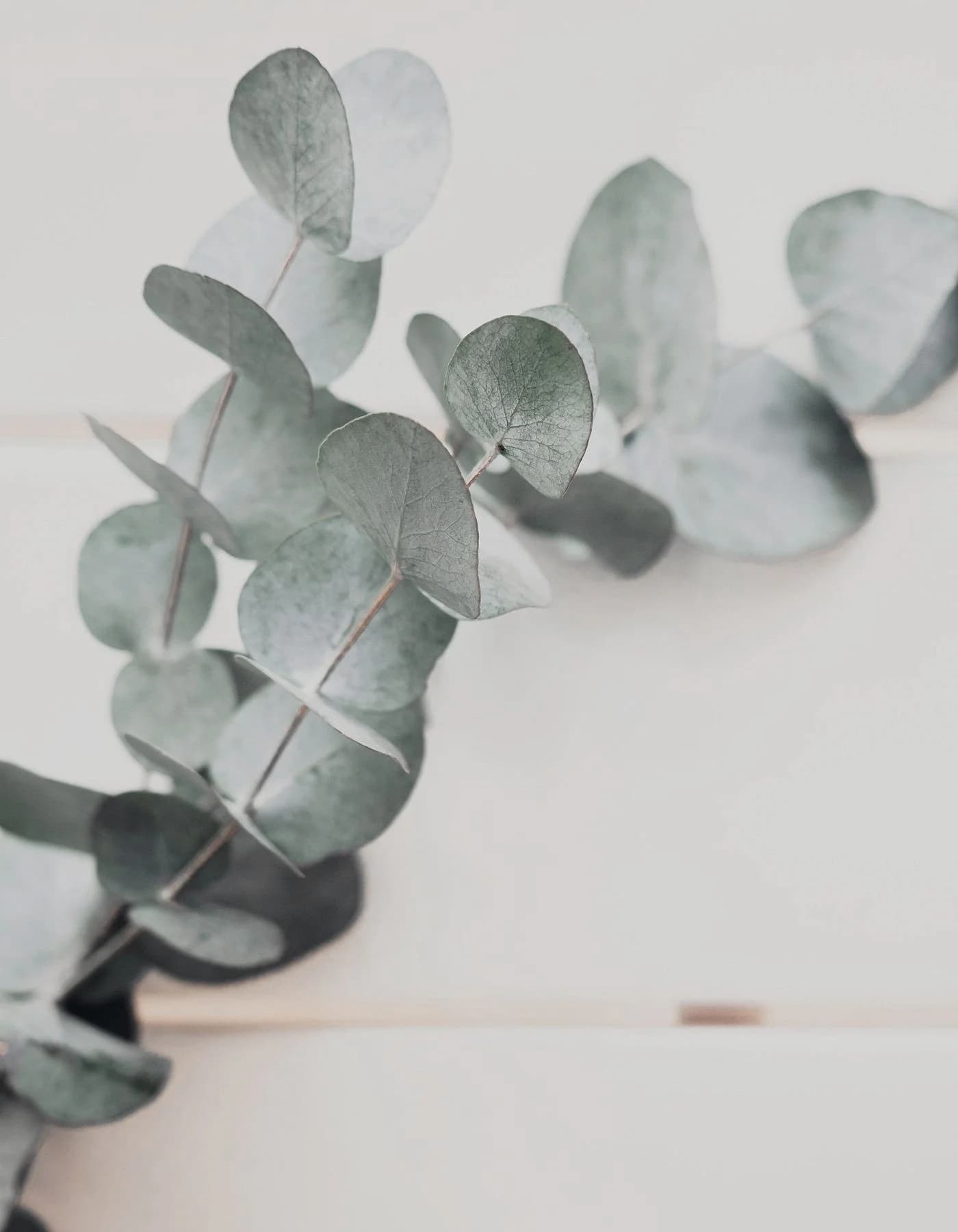 Open Heart Psychotherapy gallery image 2