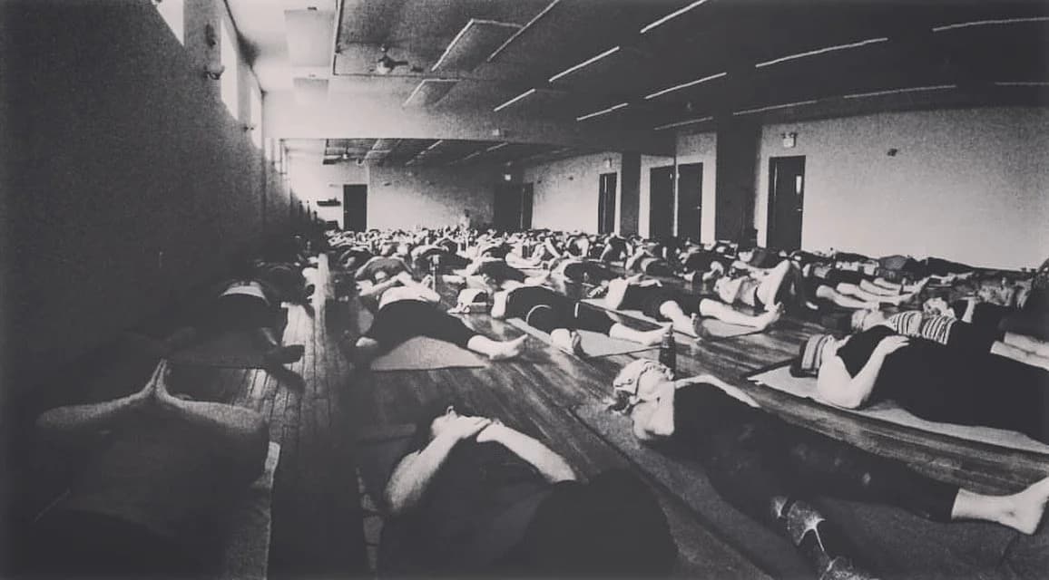 Wild Heart Yoga gallery image 4