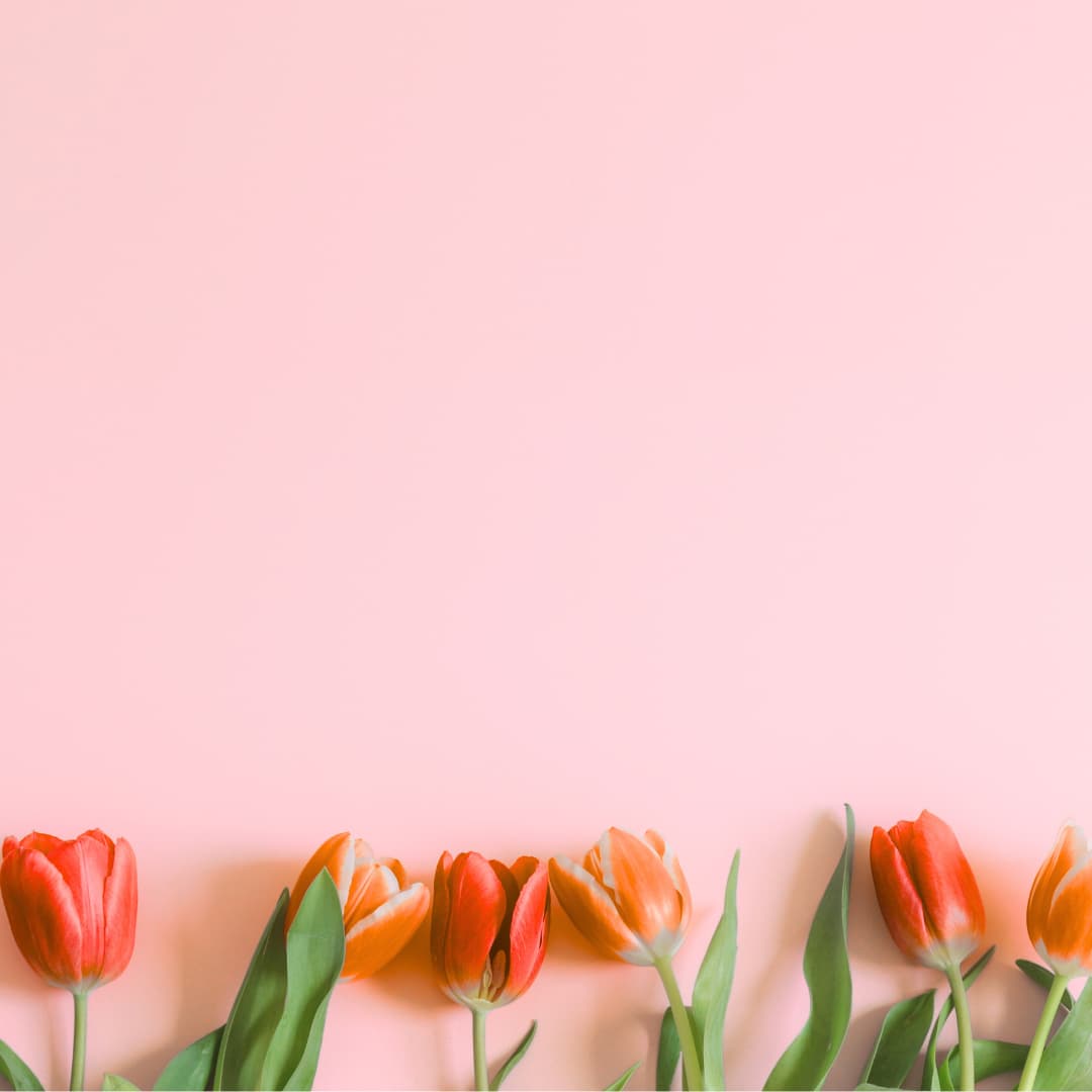 Blue Canoe Yoga Rosedale