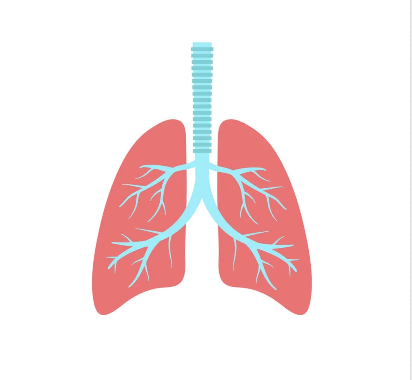 Peace Health Chinese Medicine and Acupuncture Clinic gallery image 5