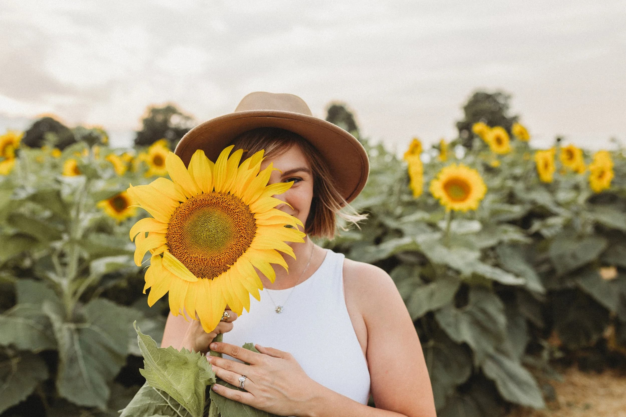 Sunflowers In Sunshowers - Transformational Life Coaching gallery image 4
