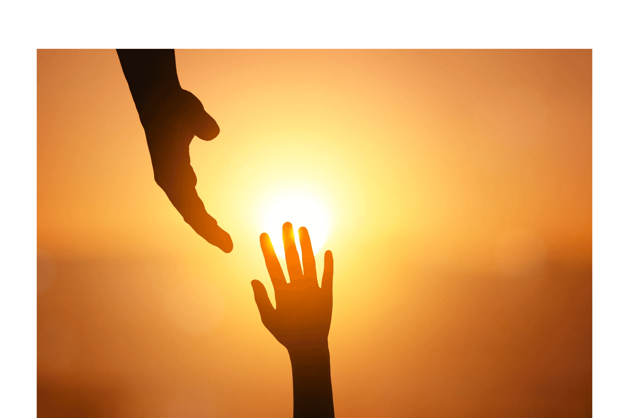 Holistic Psychoeducational Services