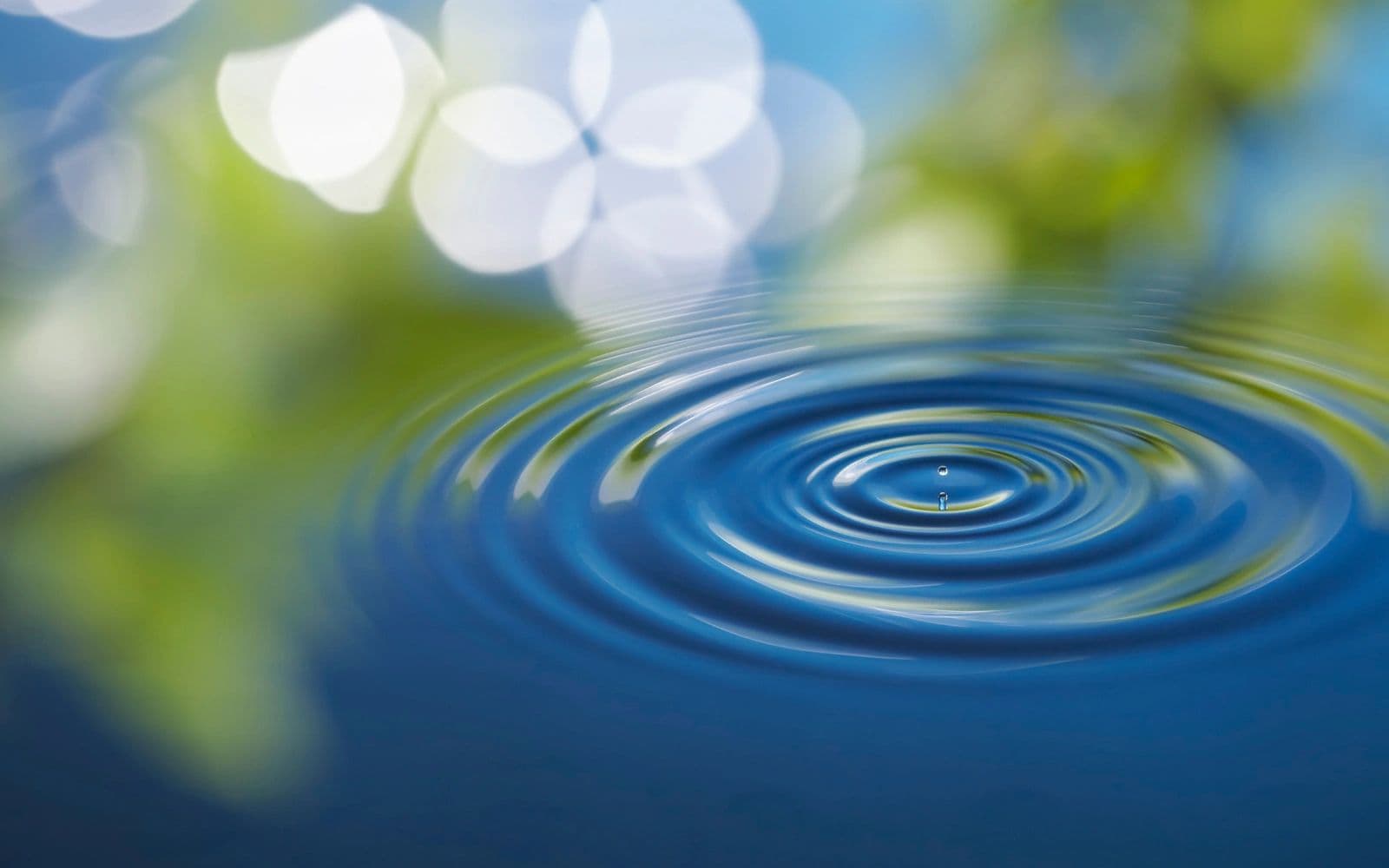 Stoney Creek Colonics