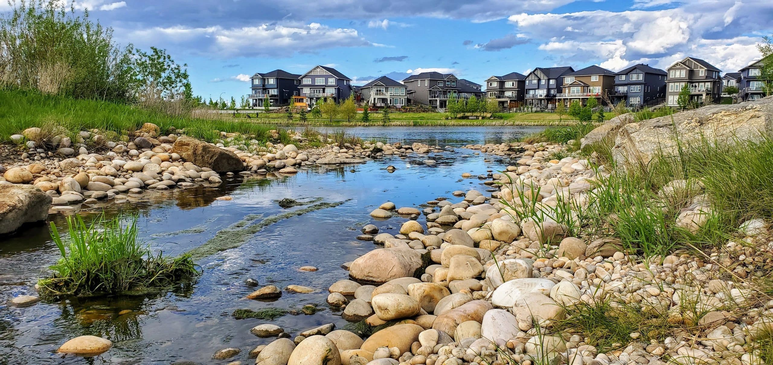 Hyacinth Heals Acupuncture