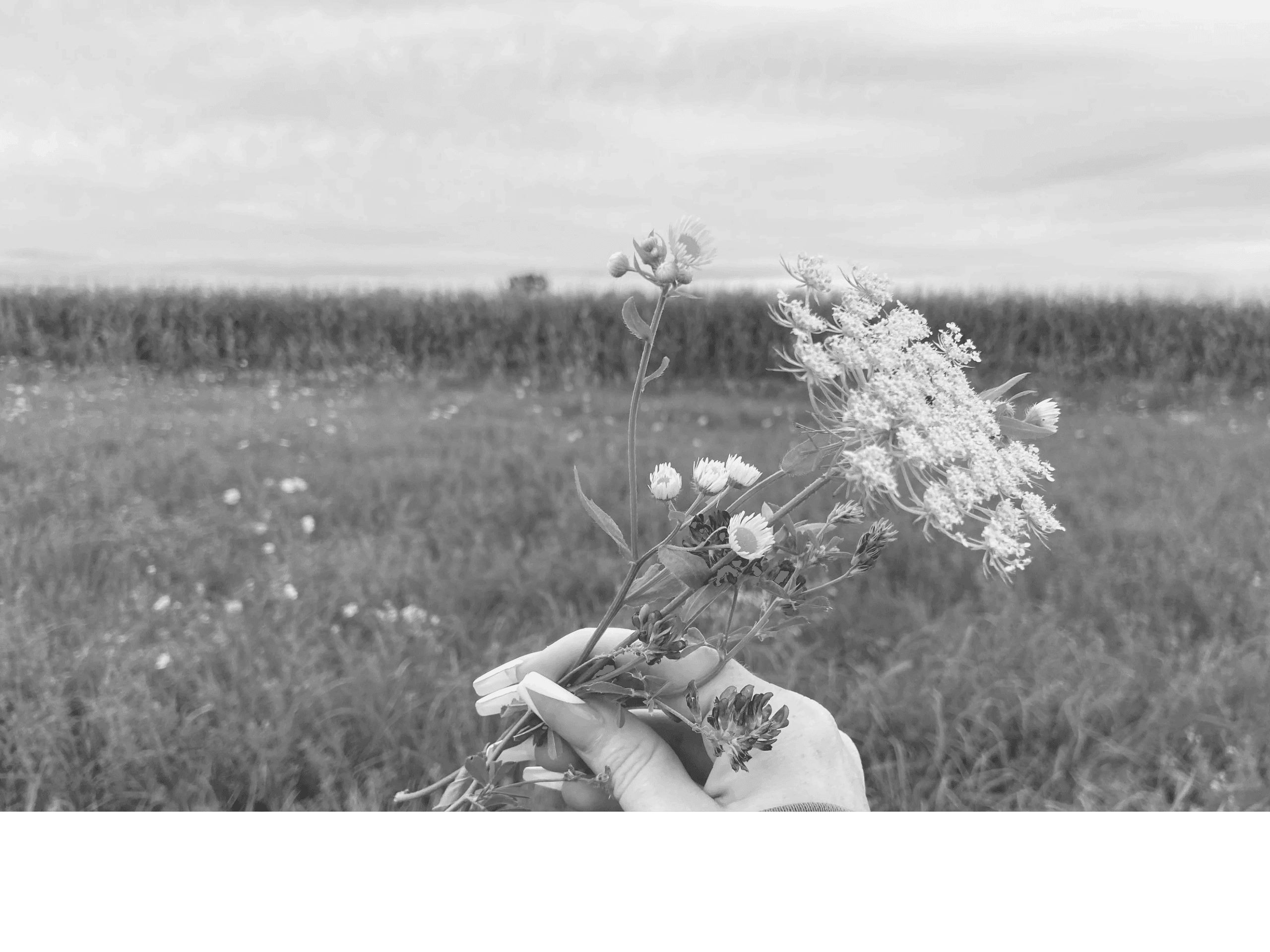 Full Mind to Mindful