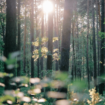 Cape Breton Counselling Services gallery image 4