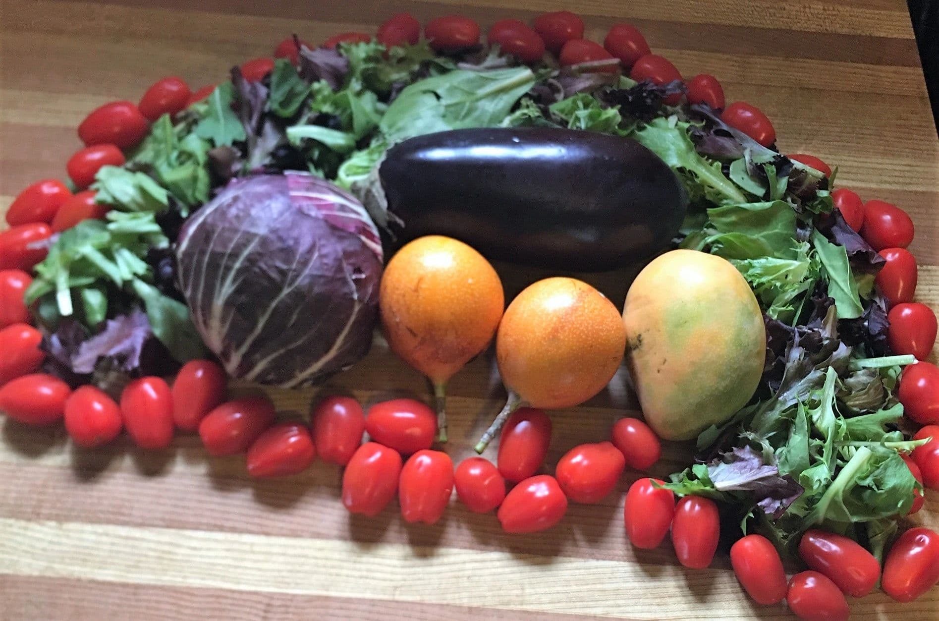 Registered Dietitian Nutritionist Personal Fitness Trainer