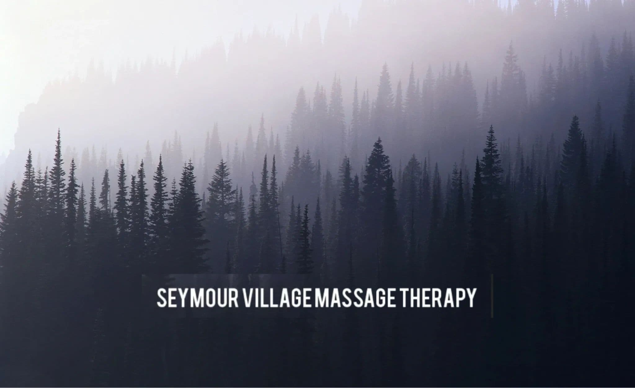 Seymour Village Massage Therapy | Patrick Renny, RMT