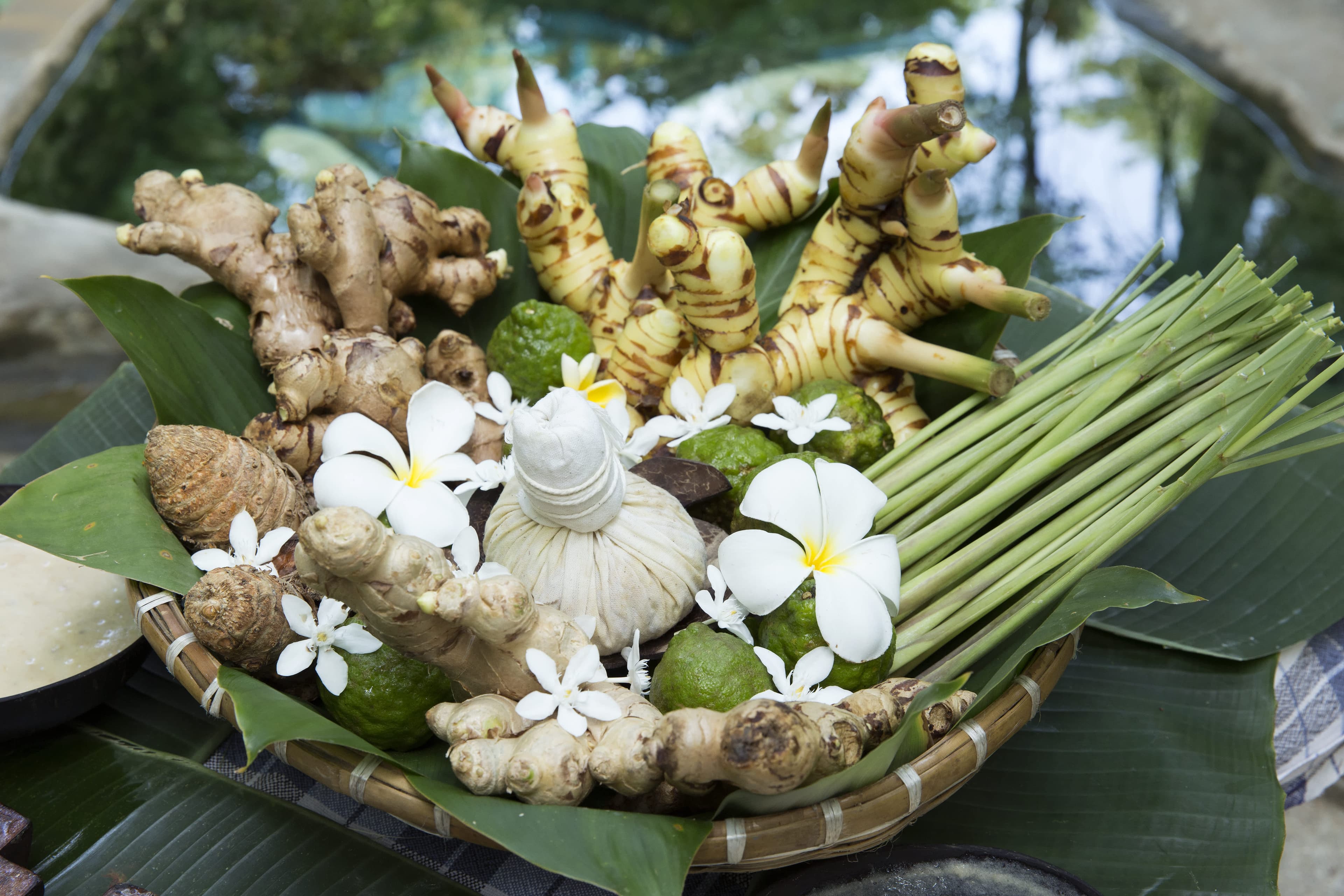 Live Laugh Love Wellness Centre gallery image 3