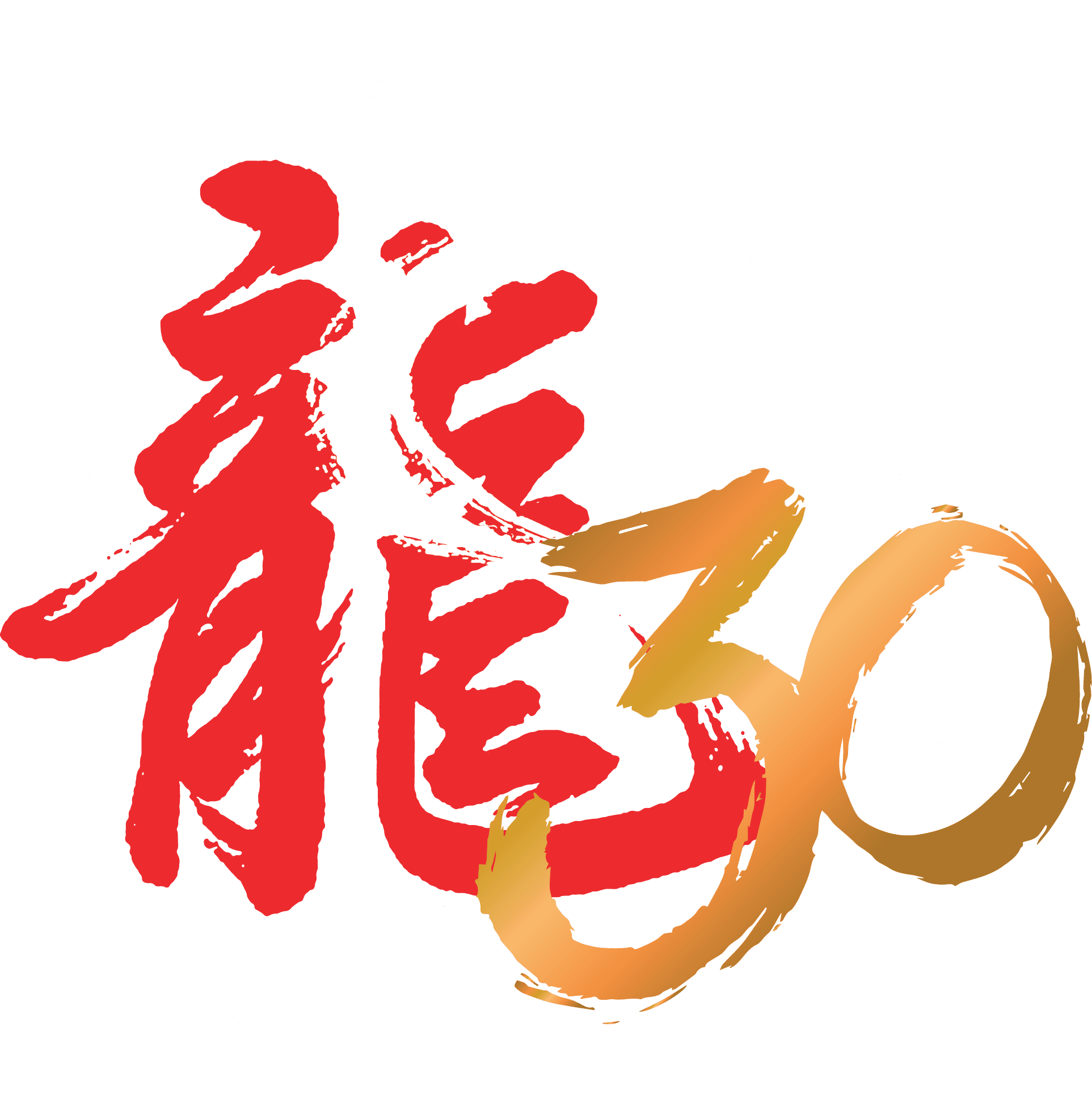 Institut Long Feng - Kung Fu, Tai Chi & Qi Gong gallery image 1