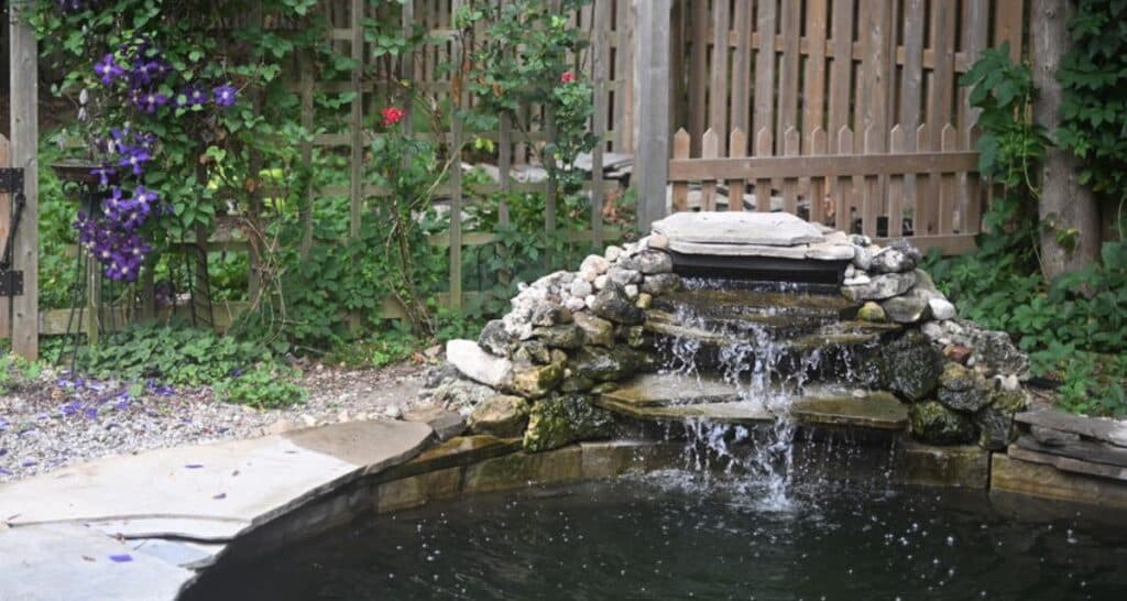 Julia Wooster, Certified Hypnotist