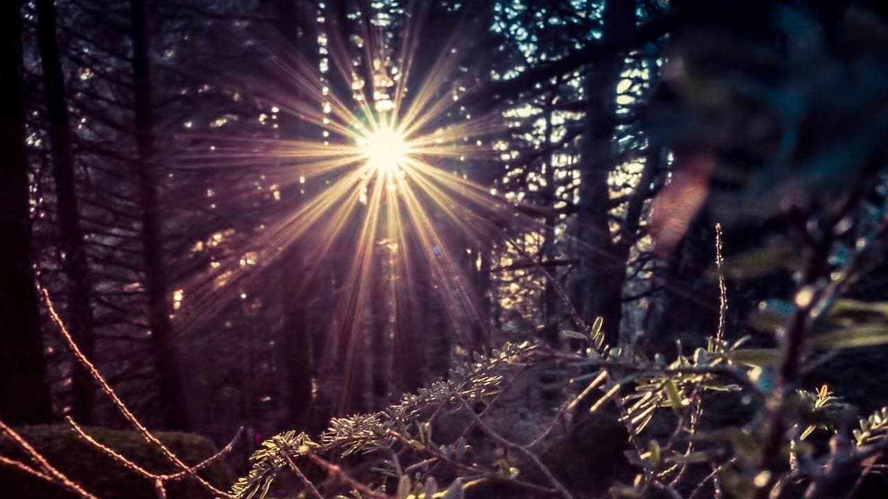 Nature's Vibe Natural Health Care