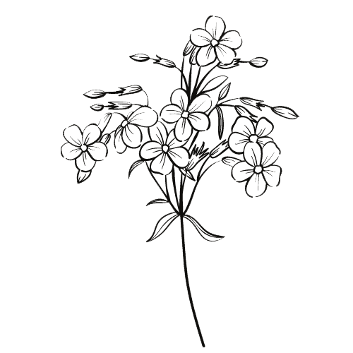 Dr. Kim Abog, Naturopathic Doctor gallery image 4