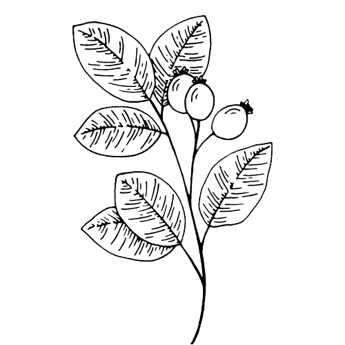 Dr. Kim Abog, Naturopathic Doctor gallery image 2