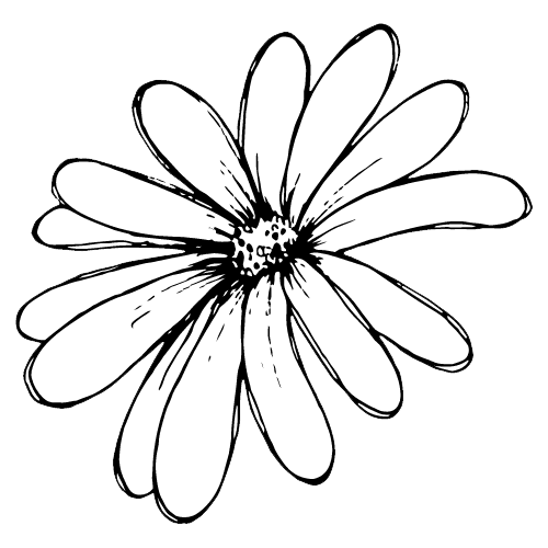 Dr. Kim Abog, Naturopathic Doctor