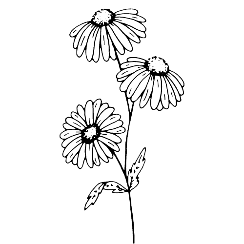 Dr. Kim Abog, Naturopathic Doctor gallery image 3