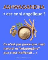 La Naturopathe Moderne - Marie-Soleil Noreau ND.A gallery image 5