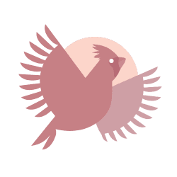 Massothérapie Léon Cardinal - Sherbrooke gallery image 3