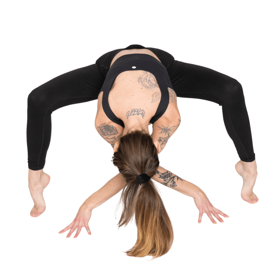 Let's Move Studio gallery image 5