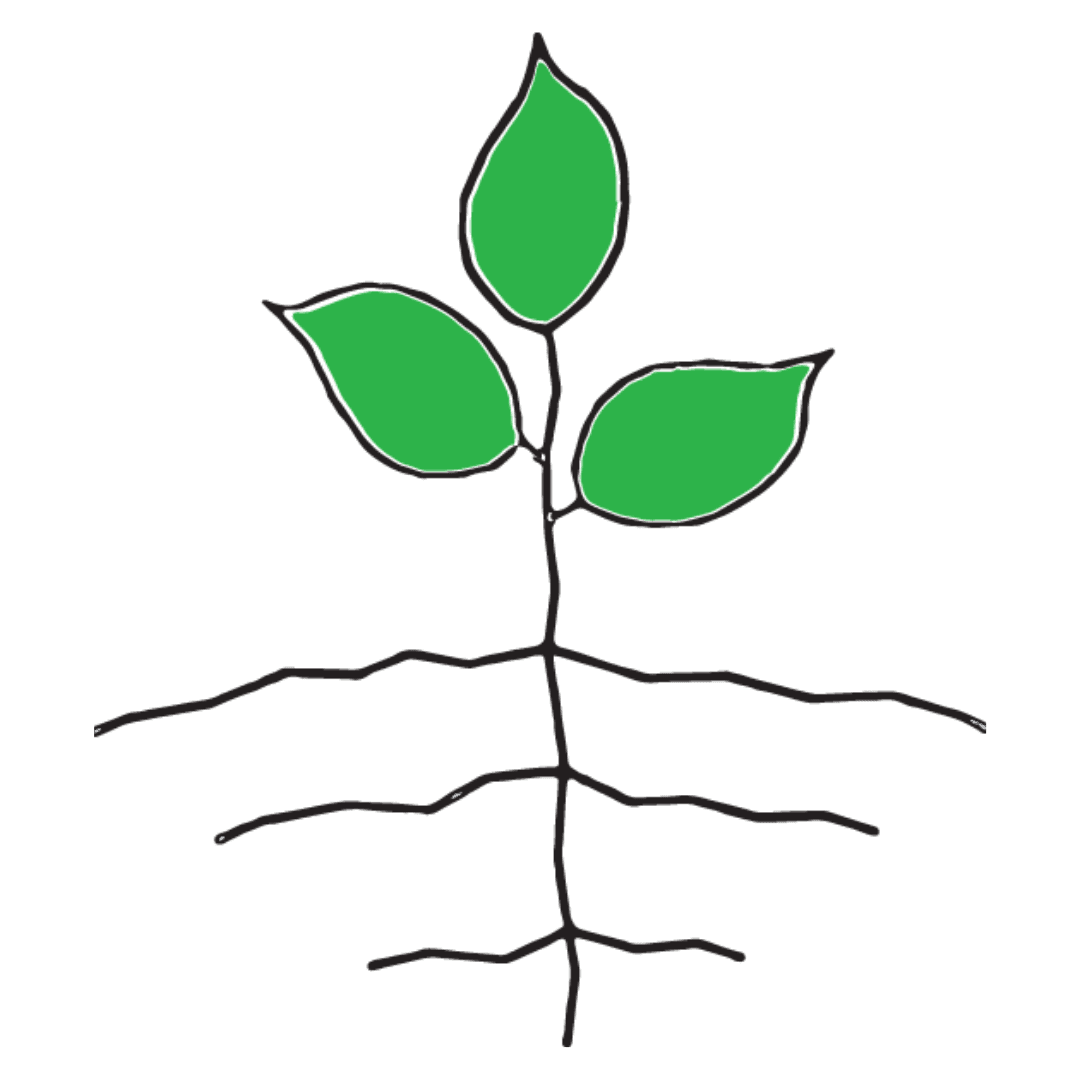 Jo Anne's Place Health Foods