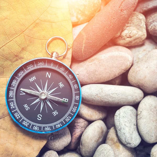 Loewen Life & Business Coaching gallery image 2