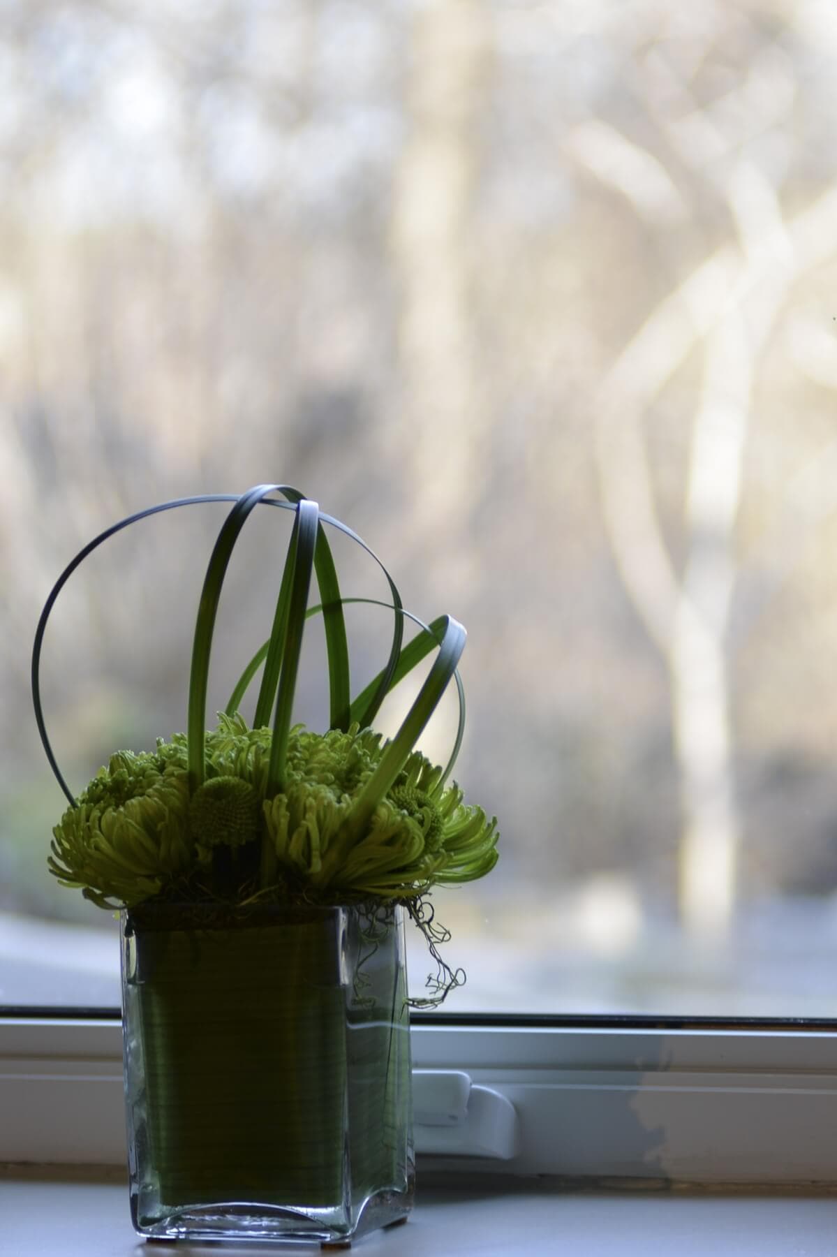 ManoSPA - Massage Therapy | Massothérapie gallery image 4