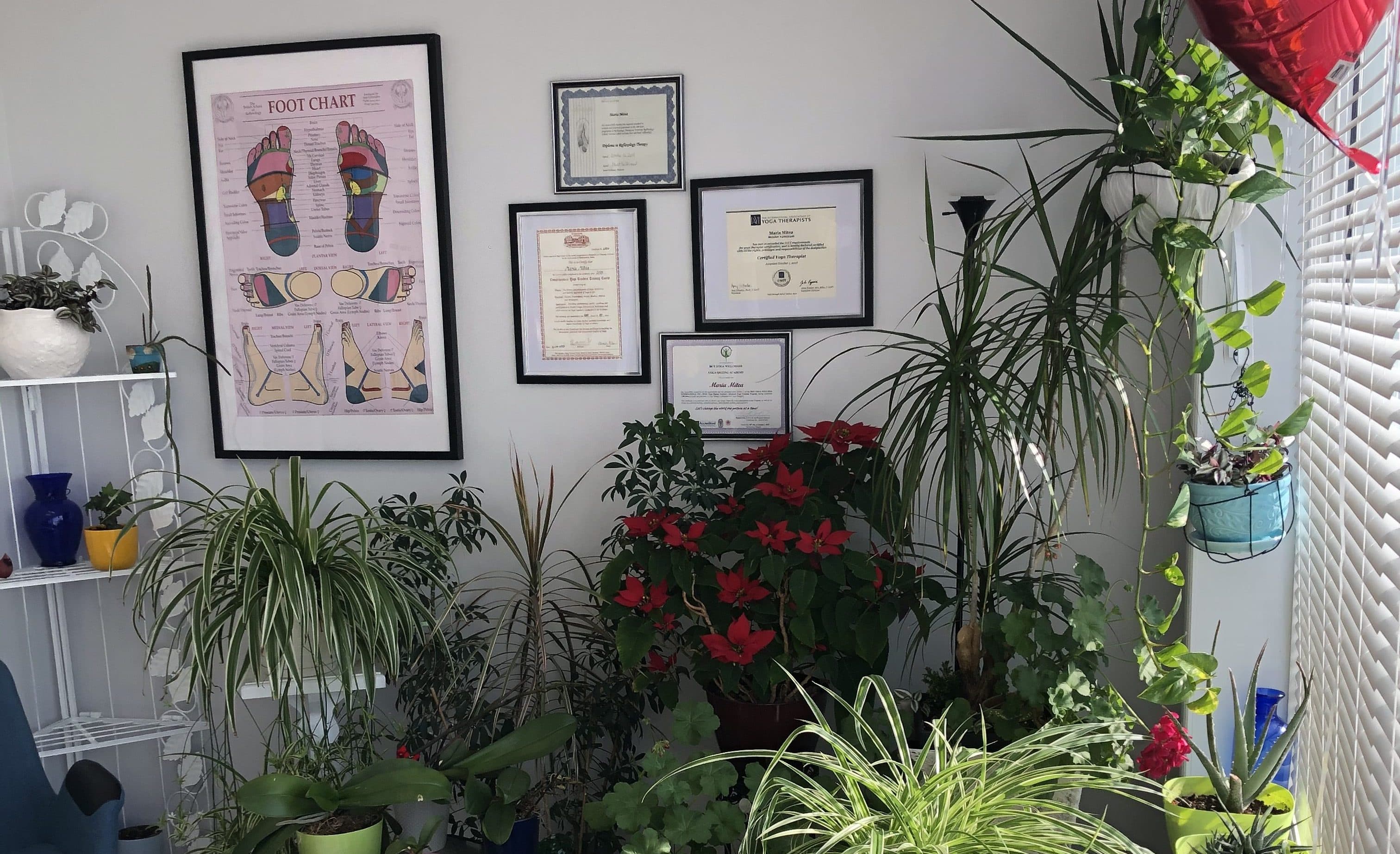 HealthYoga gallery image 5