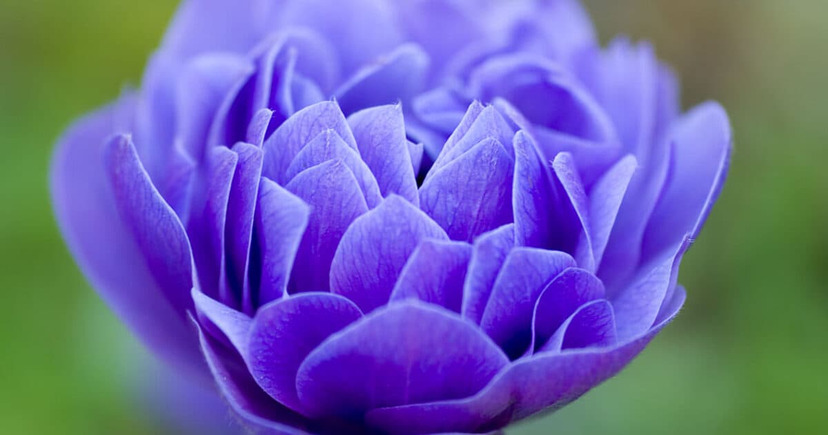 Minda Natural Health & Acupuncture Clinic gallery image 3