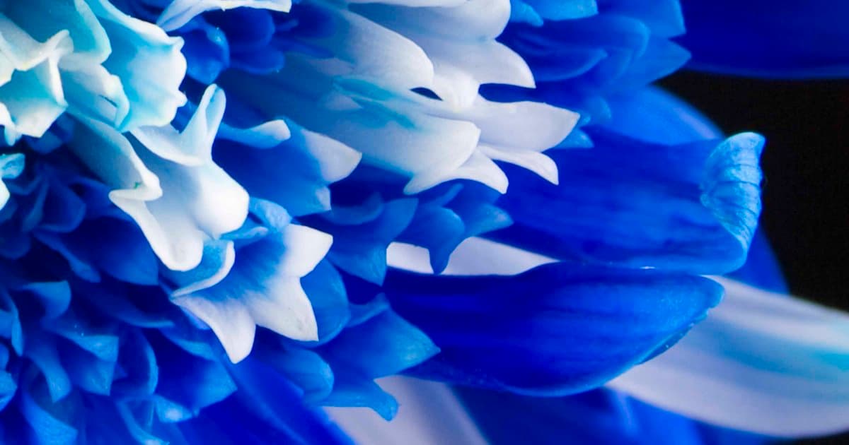 Minda Natural Health & Acupuncture Clinic