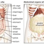 Mindful Acupuncture Health Clinic