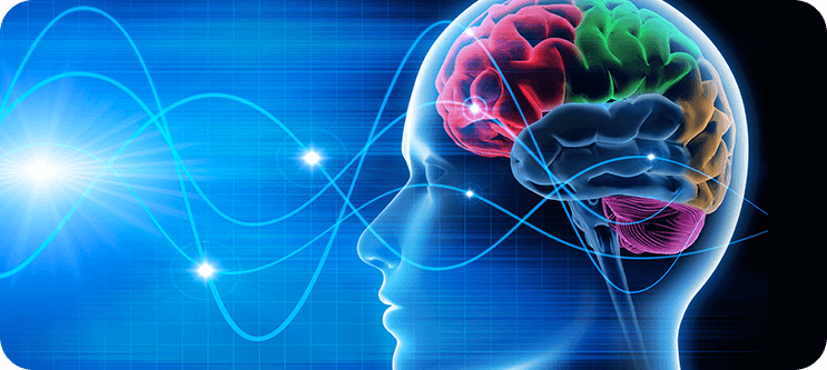 Mindful Feedback gallery image 5