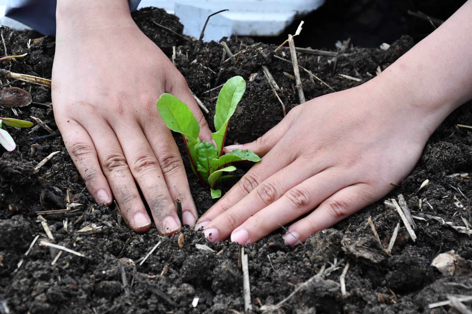 Mindfulness Practice Community of Toronto