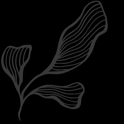 Mindful Path Counselling gallery image 3