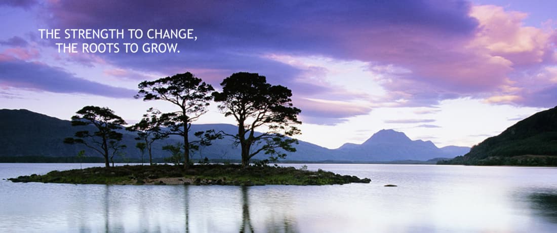 Mind Over Matter Psychotherapy Inc. gallery image 3