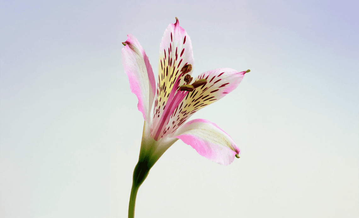 Generation Fertility gallery image 3