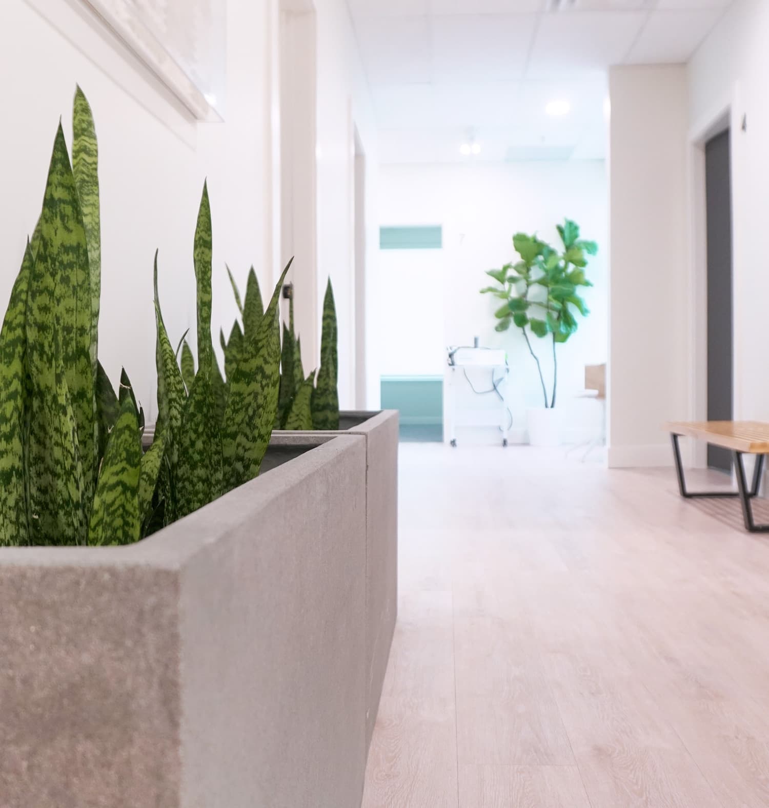 Nuflex Wellness Care gallery image 2