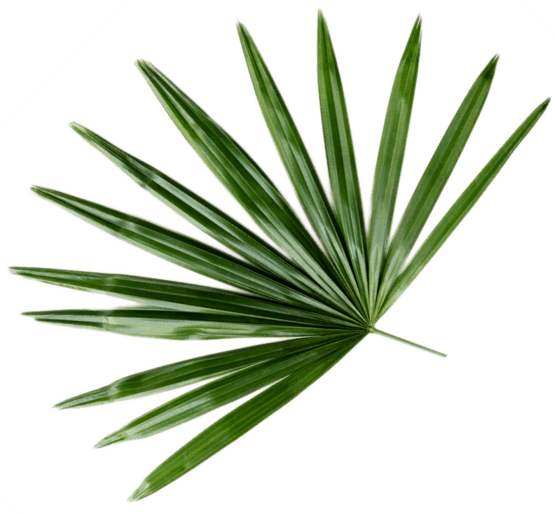 Orchid Spa gallery image 1