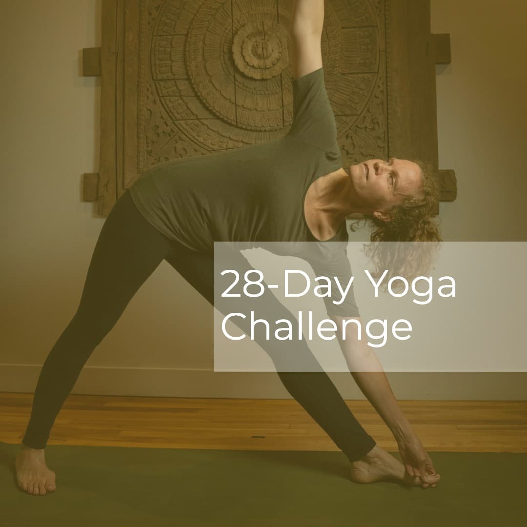 PranaShanti Yoga Centre gallery image 3