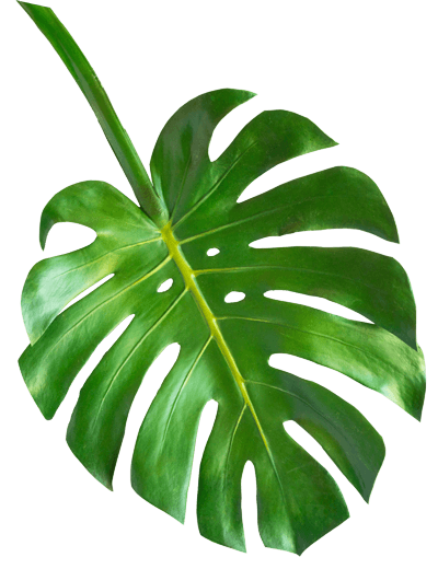 Radiance Laser & Medical Aesthetics Inc. gallery image 5