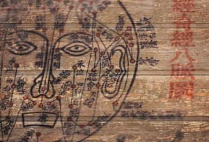 Rebecca Stephens Dr.TCM, R.Ac. gallery image 5