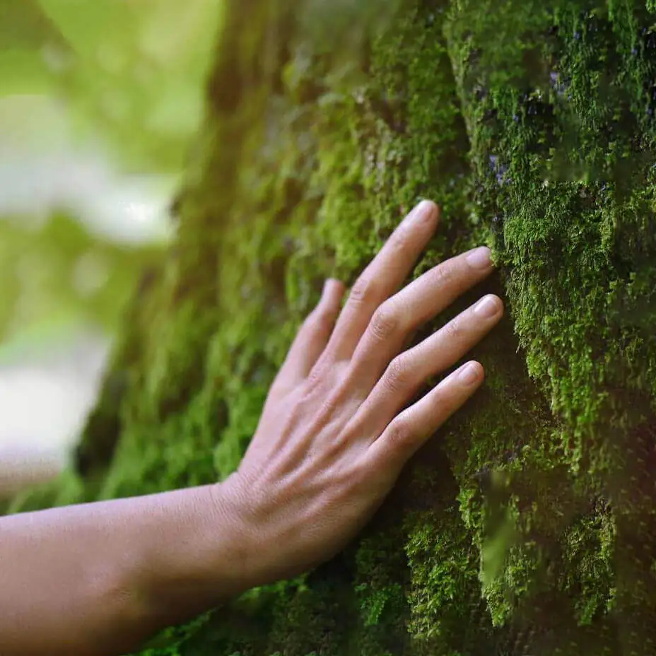 Sageview Health gallery image 2