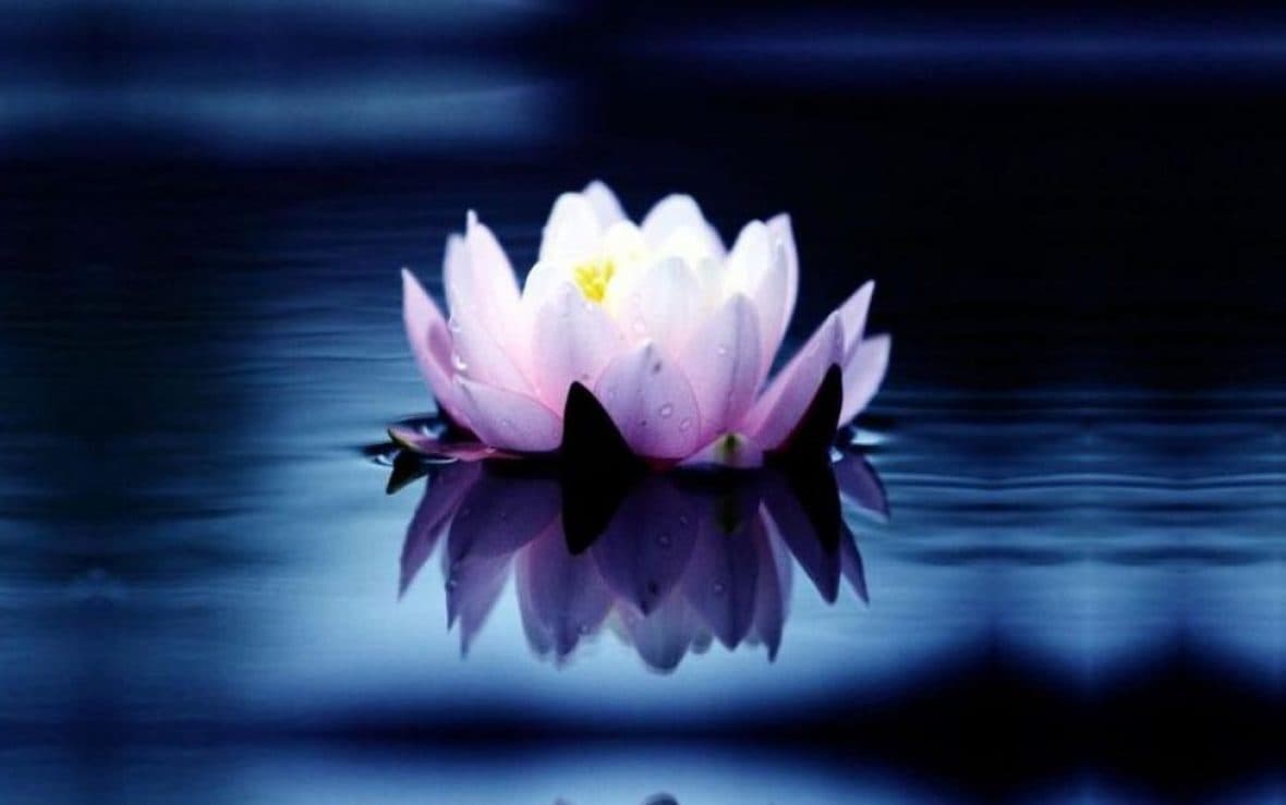 SECOND SIGHT PSYCHIC STUDIO AND WELLNESS CENTRE gallery image 2