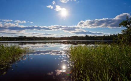 Serge Lanoue gallery image 1