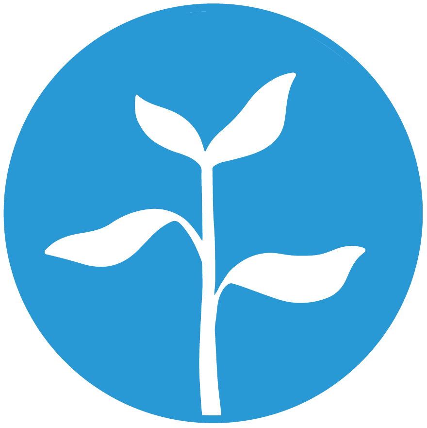 Shea Pestell | Life Development Coach