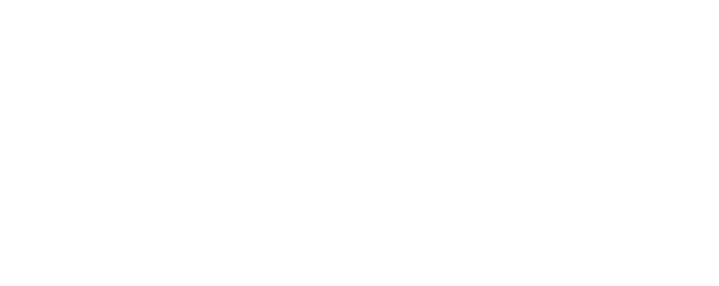 Skinecht Studio