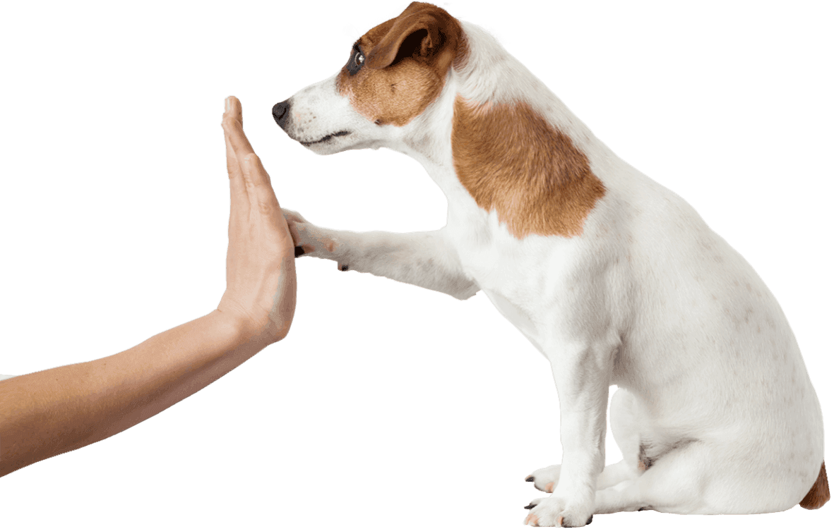 S P A Drummondville gallery image 3