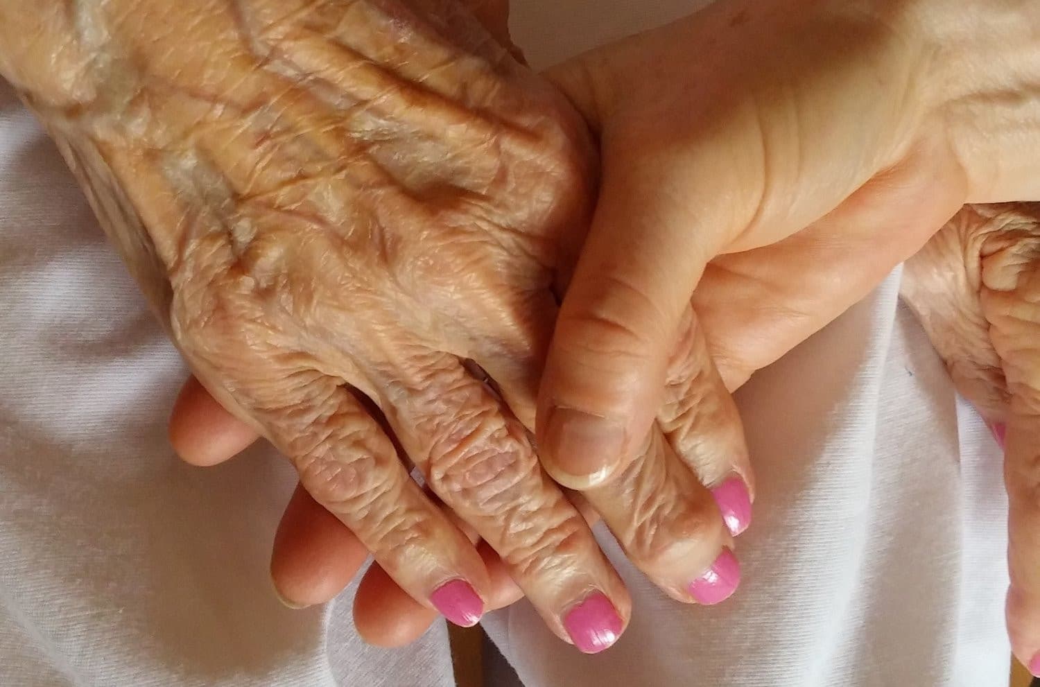 Companion Services For Seniors