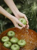 Serene Massage & Wellness logo