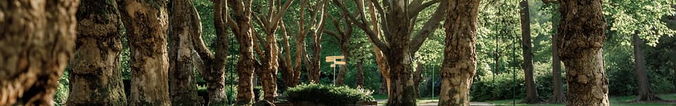 Flourish Therapy Practices gallery image 2