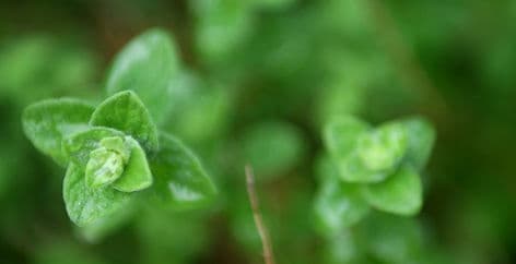 Hamilton Health & Wellness Centre gallery image 4